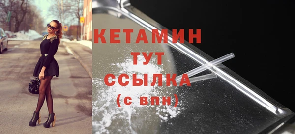 шишки Дмитровск