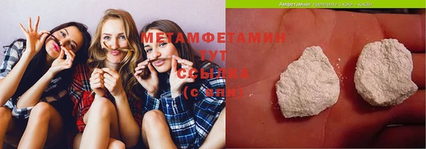 шишки Дмитровск