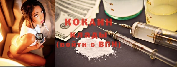 шишки Дмитровск