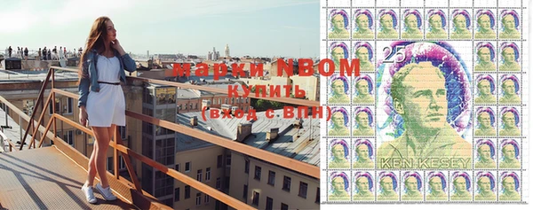шишки Дмитровск