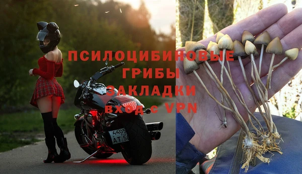 герыч Дмитров