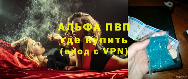 шишки Дмитровск