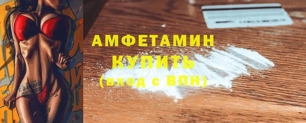 шишки Дмитровск