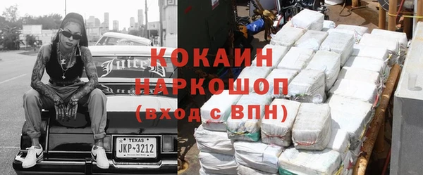 шишки Дмитровск