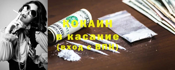 шишки Дмитровск